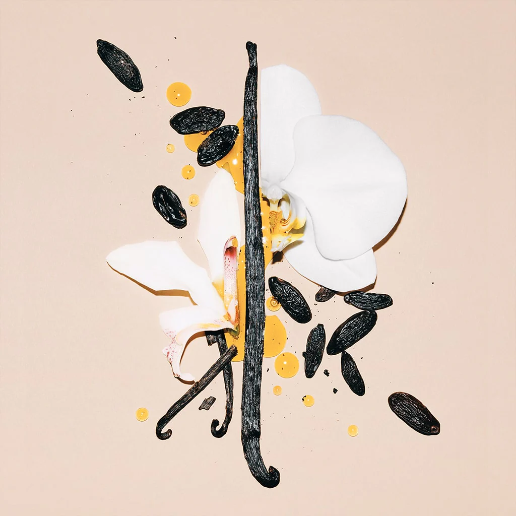 DIRTY VANILLA - Image 7